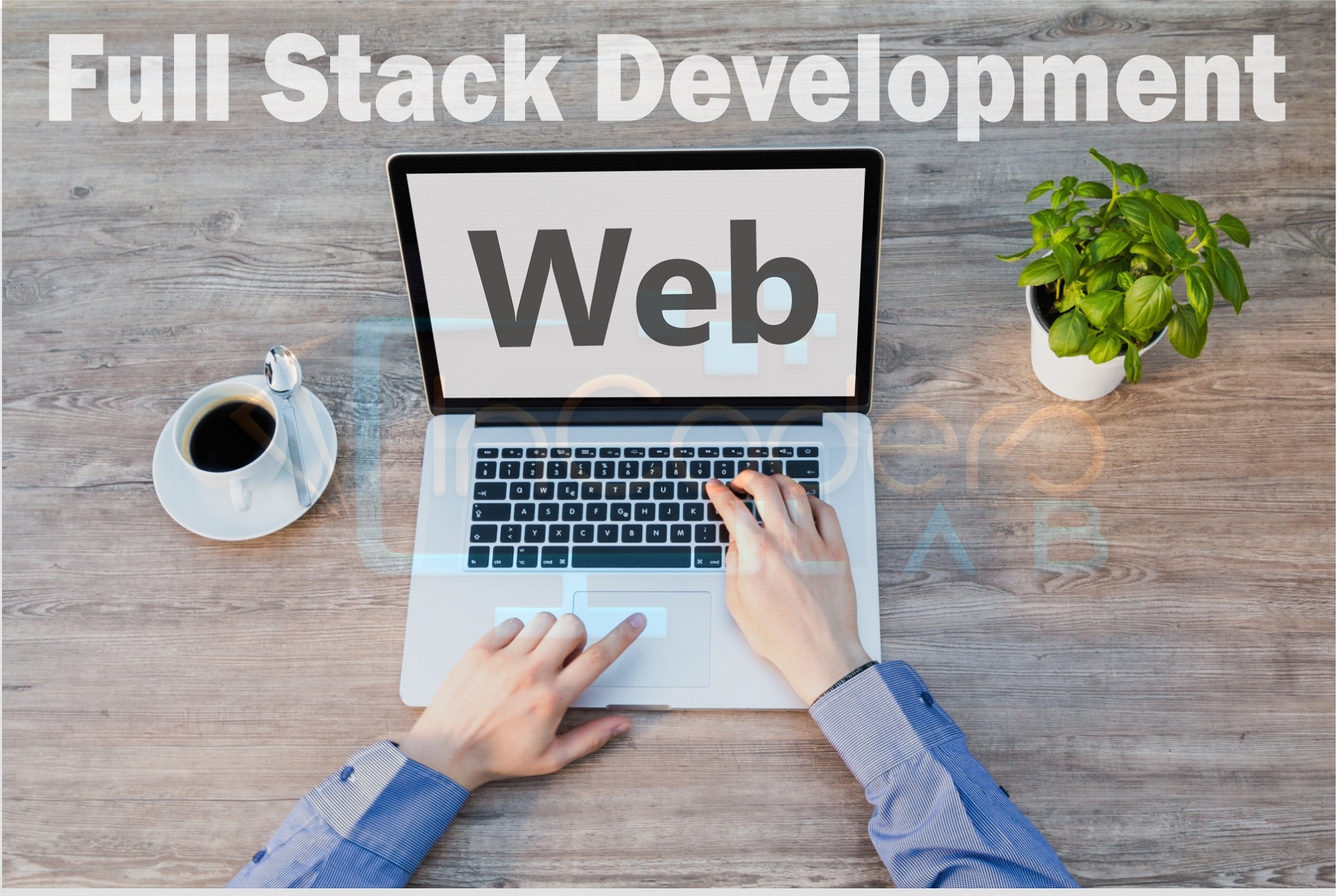 Full Stack Web development